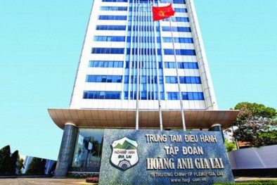 Cả năm, HAGL Agrico của bầu Đức lỗ 2.300 tỷ đồng