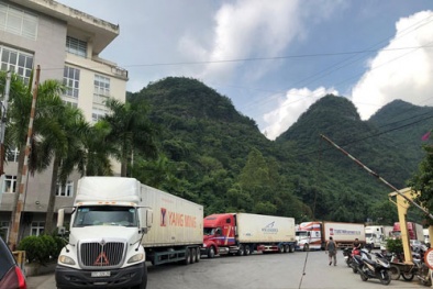 Xây dựng quy trình kiểm soát dịch bệnh tại biên giới theo hướng giảm thiểu tác động đến xuất nhập khẩu