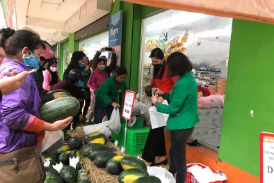 Hệ thống bán lẻ BRG chung tay hỗ trợ nông dân tiêu thụ trên 200 tấn dưa hấu 
