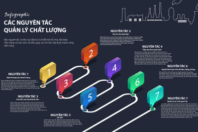 Infographic: Các nguyên tắc quản lý chất lượng
