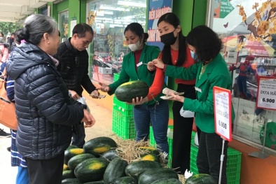 Ưu tiên cấp Giấy chứng nhận xuất xứ ưu đãi cho các lô hàng chuyển sang xuất khẩu chính ngạch