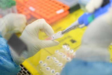 Công ty Mỹ tuyên bố chế tạo thành công vắcxin chống virus corona