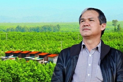 ‘Cặp đôi’ HNG, HAG của bầu Đức đứng đầu danh sách DN niêm yết làm ăn thua lỗ nhất năm 2019