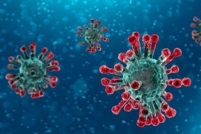 Vì sao virus corona mạnh lên tới 1.000 lần khi ở trong cơ thể người?