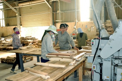 Gỗ dán cứng Việt Nam bị yêu cầu điều tra gian lận xuất xứ