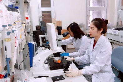 Quy định mới về thu hút, trọng dụng nhà khoa học xuất sắc
