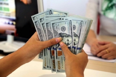 Tỷ giá ngoại tệ ngày 3/3: Euro tăng giá, USD lao dốc