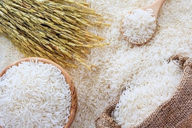 Giá nông sản hôm nay 5/3: Giá cà phê bất ngờ giảm mạnh