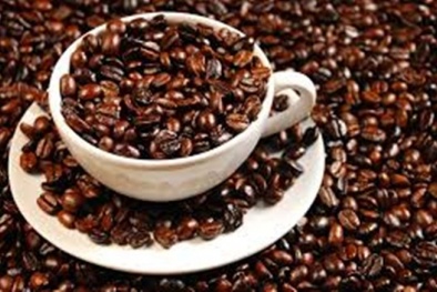 Giá nông sản hôm nay 9/3: Giá cà phê, hồ tiêu đi ngang 