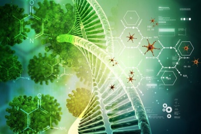 Phát hiện những 'chìa khóa' mới giúp vô hiệu hóa virus corona 