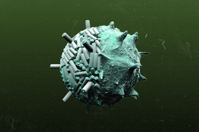 13Win OKVIP Đăng ký ngay chế tạo pin từ… virus có gì đặc biệt?