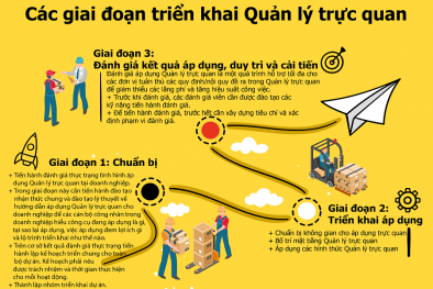 Infographic: Quản lý trực quan và lợi ích trong vận hành Link Đăng Nhập Nhà cái 13Win16.Com