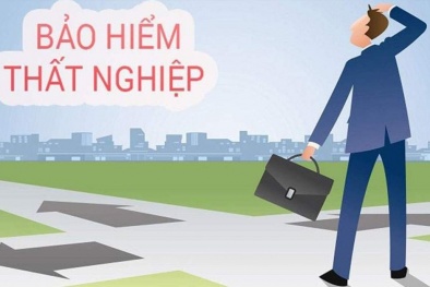 Các chính sách bảo hiểm tốt nhất dành cho 13Win18 cá cược thể thao thất nghiệp mùa dịch Covid19
