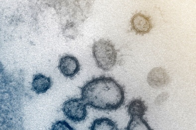Thuốc điều trị HIV không có tác dụng chữa Covid-19