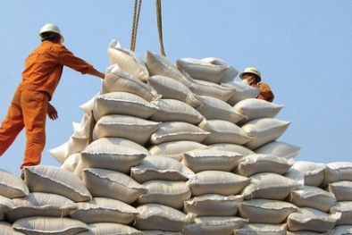 Chính thức dừng xuất khẩu gạo từ ngày 24/3