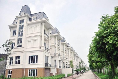 Lideco tham vọng doanh thu 1.000 tỷ đồng, dù nợ lớn