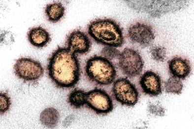 Virus corona chủng mới xuất hiện 40 biến thể, có thể lây nhiễm mạnh hơn 