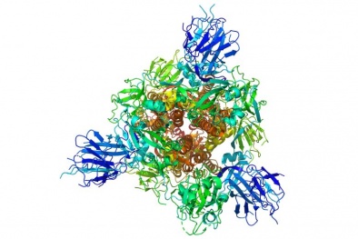 Phát hiện thêm 'chìa khóa' giúp tiêu diệt virus corona chủng mới