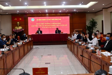 Từ tháng Tư, giá thịt lợn sẽ giảm