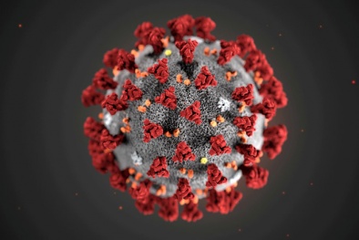 Virus corona đã có 8 biến thể lan truyền trên toàn cầu