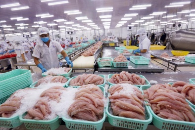Hài hòa tiêu chuẩn quốc tế: Thay đổi để hội nhập