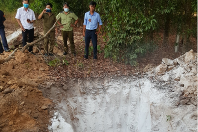 Nhập khẩu thịt trâu, sườn heo đông lạnh không có giấy tờ kiểm dịch buộc phải tiêu hủy