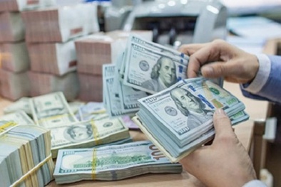 Tỷ giá ngoại tệ hôm nay 1/4: Giá USD giảm mạnh tại các ngân hàng