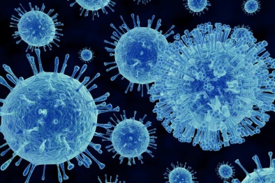Phát hiện 6 chủng virus mới có họ hàng với Sars-CoV-2 