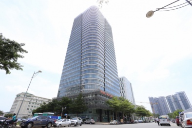 Petroland giảm 70% lãi sau kiểm toán, cổ phiếu có nguy cơ bị hủy niêm yết
