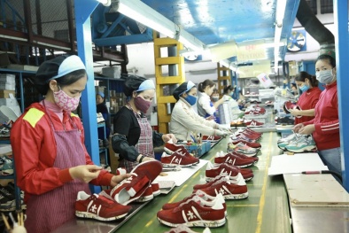 Hiệp định EVFTA dự kiến giúp tăng thêm khoảng 146.000 việc làm/năm