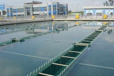 SII báo lỗ hơn 9 tỷ đồng trong 3 tháng đầu năm 2020