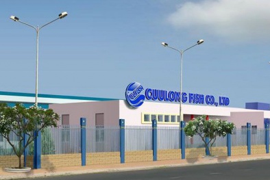 Xuất nhập khẩu Thủy sản Cửu Long An Giang báo lãi ròng giảm 98% quý I/2020 