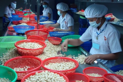 4 tháng đầu năm 2020, nông lâm thủy sản xuất siêu 2,8 tỷ USD