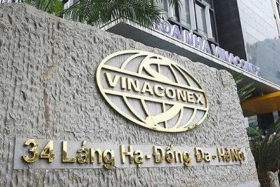 'Ông lớn' Vinaconex báo lãi sau thuế giảm 35% trong 3 tháng đầu năm