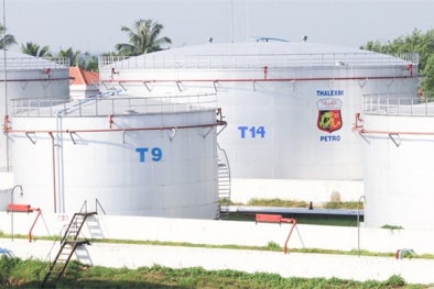 Thanh Lễ tiếp tục kinh doanh thua lỗ, dòng tiền âm hơn 1.000 tỷ