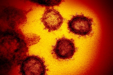 Phát hiện biến thể mới nguy hiểm của virus corona có khả năng lây lan nhanh 