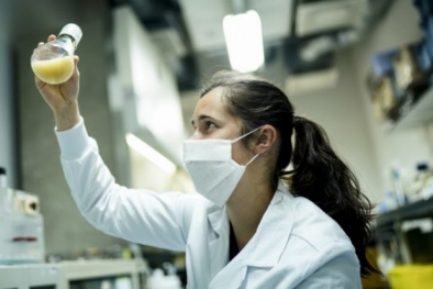 Tìm ra loài vật nắm giữ 'chìa khóa' chống lại virus corona