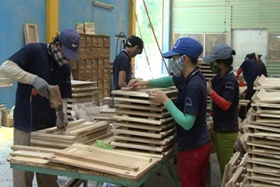Áp dụng sáng kiến cải tiến năng suất tiết kiệm chi phí và nhân lực tại Công ty Hào Hưng Phú Yên