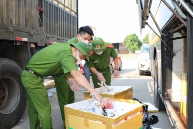 Chặn đứng xe khách vận chuyển nội tạng động vật đã bốc mùi hôi thối