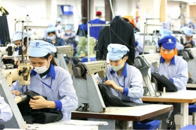Thị trường chứng khoán ngày 12/5: Cổ phiếu dệt may tăng kịch trần