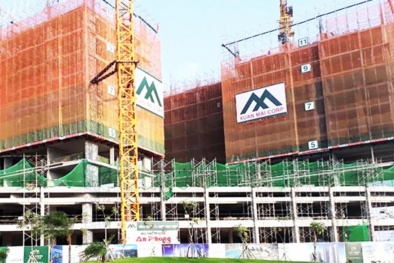 Xuân Mai Corp ‘gồng mình’ gánh nợ vay 2.500 tỉ đồng