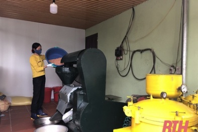 Thanh Hóa: Tăng năng suất chất lượng sản phẩm nhờ áp dụng khoa học công nghệ