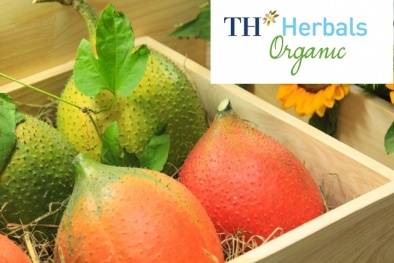 Dược liệu TH và sản phẩm đồ uống thảo dược theo chuẩn ISO 22000