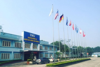 Lãi ròng TNG giảm 30%, cổ phiếu ‘trượt dốc’ 