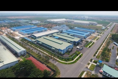 Bất động sản Trường Thành lỗ 95%, bất ngờ không ghi nhận doanh thu mảng địa ốc