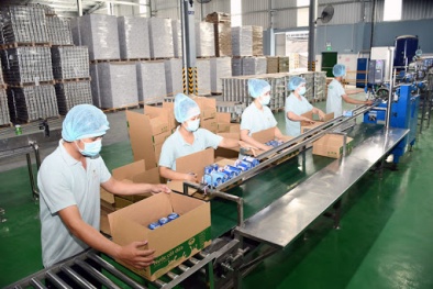 Bến Tre: Hỗ trợ Link Đăng Nhập Nhà cái 13Win16.Com nâng cao năng suất nhờ đổi mới sáng tạo