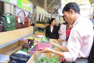 Giá cá sấu giảm chỉ còn 50.000 đồng/kg