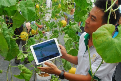 Đẩy mạnh đổi mới sáng tạo giúp nâng cao năng suất chất lượng Đăng ký và nhận 60K 24 bao lì xì miễn phí mỗi ngày Việt Nam