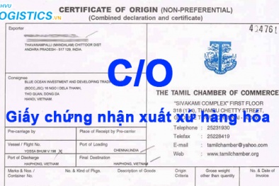 Làm sao để kiểm tra thông tin C/O trên trang điện tử của nước xuất khẩu?