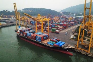 Cảnh báo dấu hiệu vi phạm quy định hàng hóa nhập khẩu có điều kiện